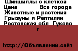 Шиншиллы с клеткой › Цена ­ 8 000 - Все города Животные и растения » Грызуны и Рептилии   . Ростовская обл.,Гуково г.